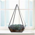 Pentahedron Pyramid Shape Glass Terrarium Decor